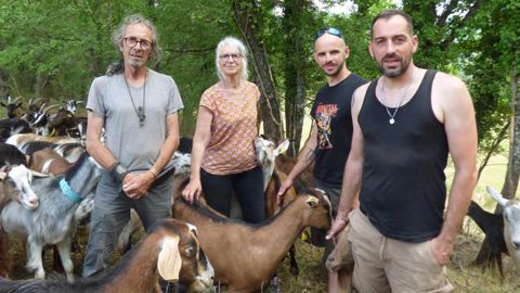 Agneaux et fromages de chèvre en direct Agneaux et fromages de chèvre en direct