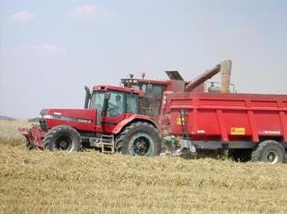Chantier de récolte de blé en Case IH