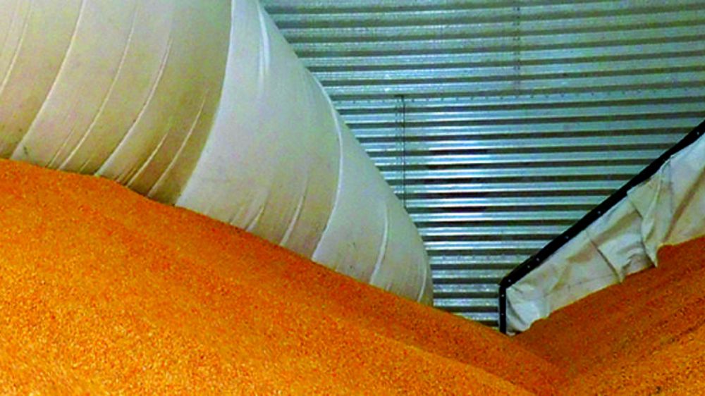 La fin du nettoyage manuel des cellules