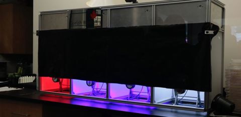 Cette station permet de diagnostiquer l’effet de changement de couleur de la lumière sur les plantes. © L. Coassin