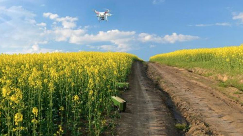 Des solutions pour l’hétérogénéité intraparcellaire