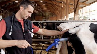 Inséminer sans fouiller Inséminer sans fouiller