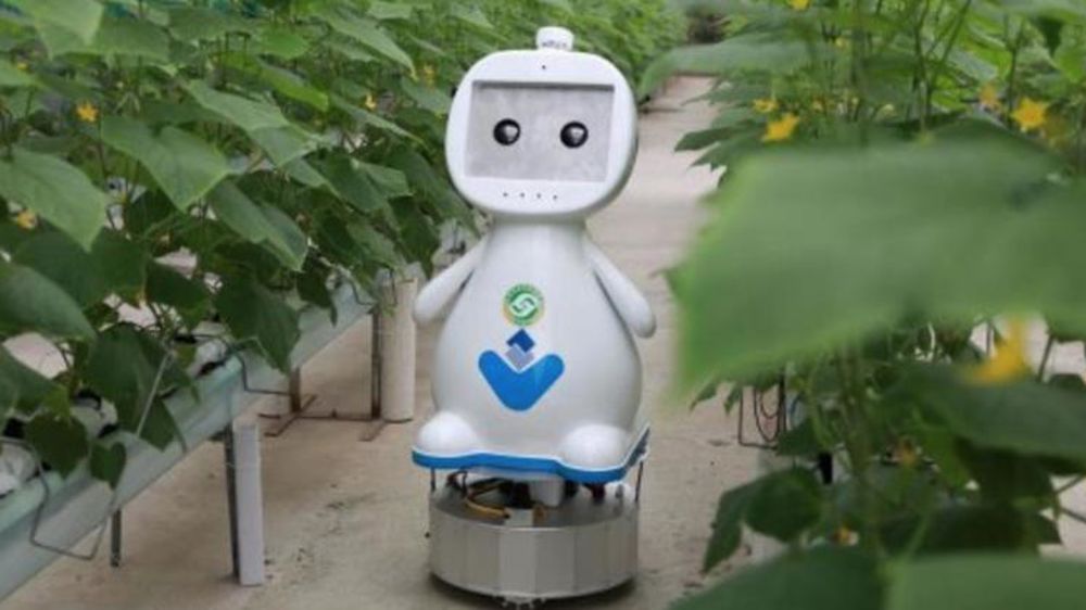 Un robot pour surveiller les serres