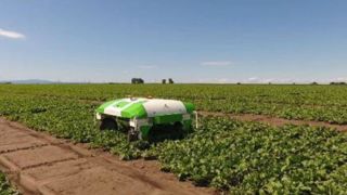 Un accord entre Naïo Technologies et Strube Un accord entre Naïo Technologies et Strube
