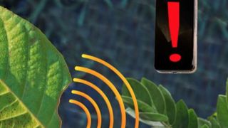 Quand vos cultures envoient des SMS Quand vos cultures envoient des SMS