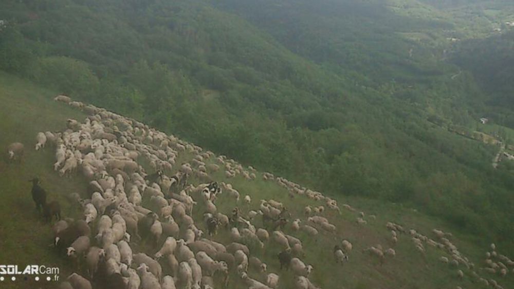 Des caméras solaires connectées