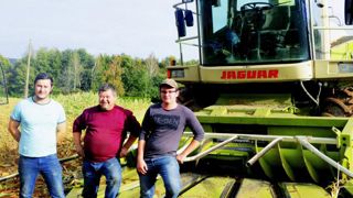 « J’ai ressorti le bec à chaînes pour ensiler des maïs versés » « J’ai ressorti le bec à chaînes pour ensiler des maïs versés »
