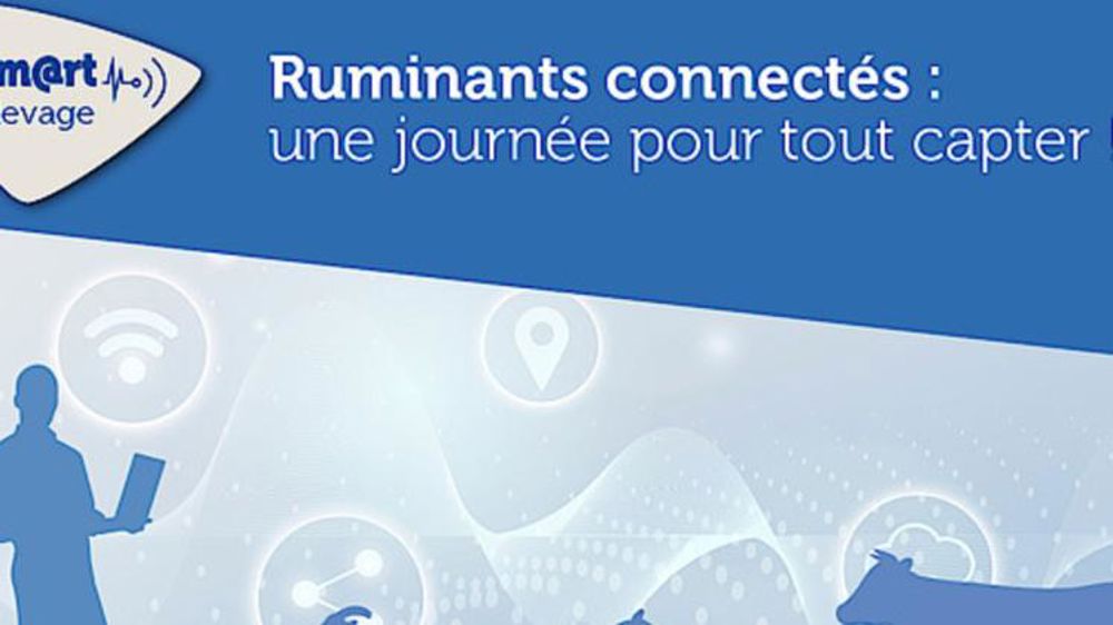 Une journée dédiée à l’élevage connecté