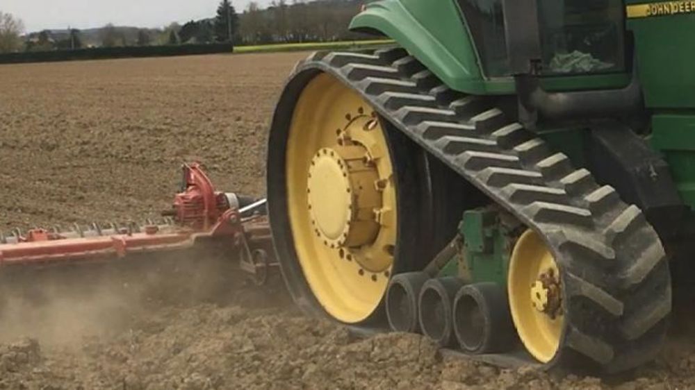 Des chenilles australiennes