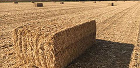 L’andain est ensuite, dans la plupart des cas, récupéré par une presse. © ETA Raimond