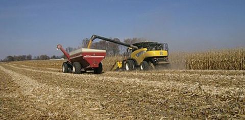Certains cueilleurs sont équipés d’un système de broyage qui récupère la matière et forme un andain entre les roues de la moissonneuse. © New Holland Rochester