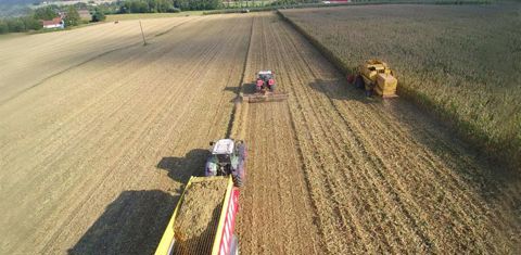 En général, l’andain est repris par une presse, mais selon la valorisation ou la méthode de stockage, il peut aussi être repris par d’autres moyens. L’autochargeuse, par exemple, récupère la matière pour la ramener à la ferme en vrac. Autre solution : l’ensileuse pourra également être dépêchée au champ. © Biochipper