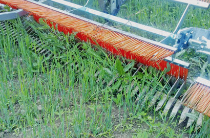 Le CombCut, de Lyckegard, utilise une brosse rotative pour rabattre les adventices vers les couteaux. © Lyckegard