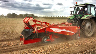 Grimme élargit son catalogue avec les aligneuses à légumes de la série WV. Grimme élargit son catalogue avec les aligneuses à légumes de la série WV.