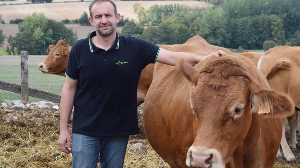 Dans ses choix de sélection, Florent Meliand privilégie les qualités maternelles, notamment la production de lait. © A. Mabire