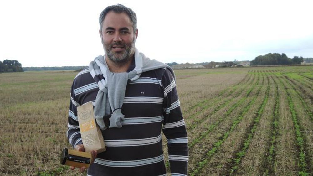 Nicolas Galpin développe la vente directe de graines et de miel, notamment pour compenser la chute des revenus liée aux grandes cultures. Il est ici dans une parcelle de colza semé au début de septembre avec du trèfle blanc. © Florence Mélix