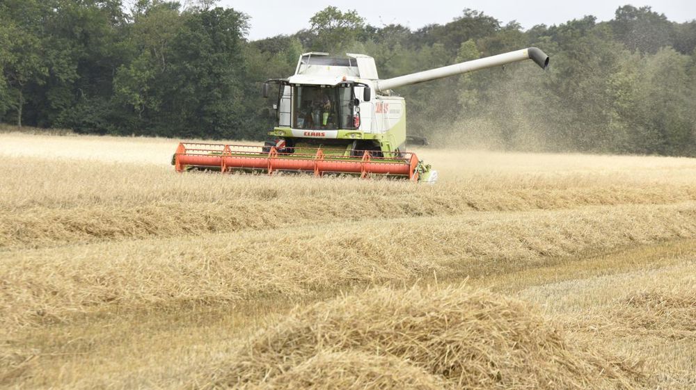 Les prix français résistent (Tallage)