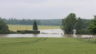 Sept départements reconnus au titre des calamités agricoles Sept départements reconnus au titre des calamités agricoles