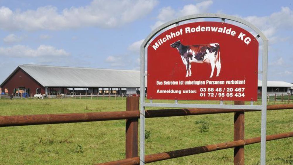 Ferme laitière en Allemagne. © Cédric Faimali/GFA