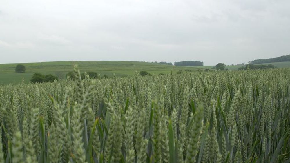 © Pascal Crapon/GFA