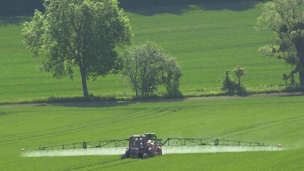 © P. Crapon / GFA.