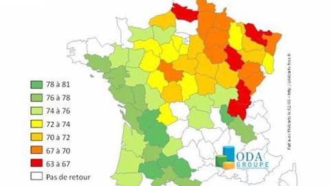 Blé tendre : premiers résultats qualitatifs de poids spécifique© ODA Blé tendre : premiers résultats qualitatifs de poids spécifique© ODA