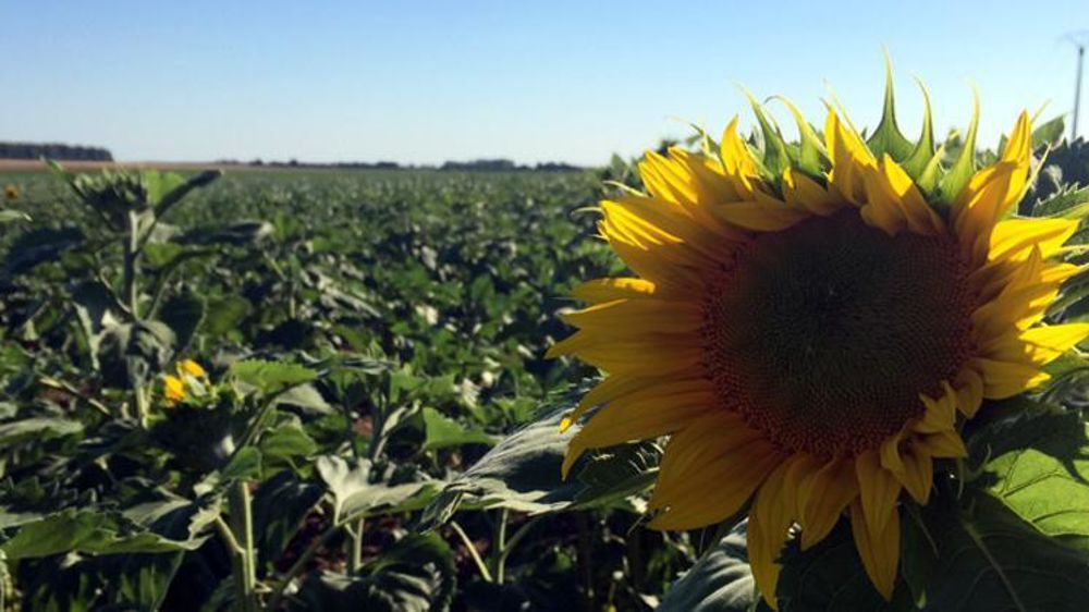 © A. Magnard / GFA