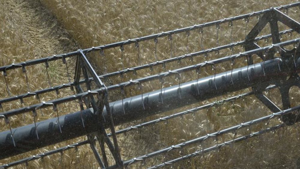 0169 C. Faimali / GFA