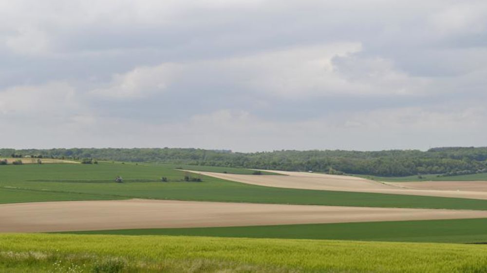 © C. Faimali / GFA