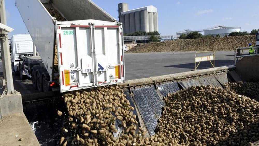 © C. Faimali / GFA