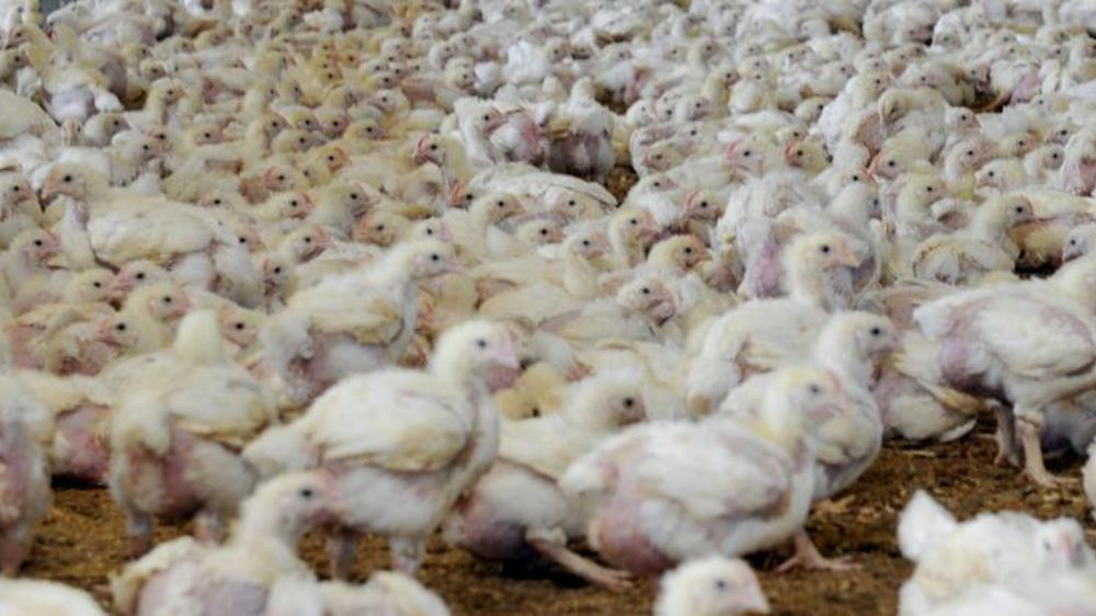 © Cédric Faimali/GFA