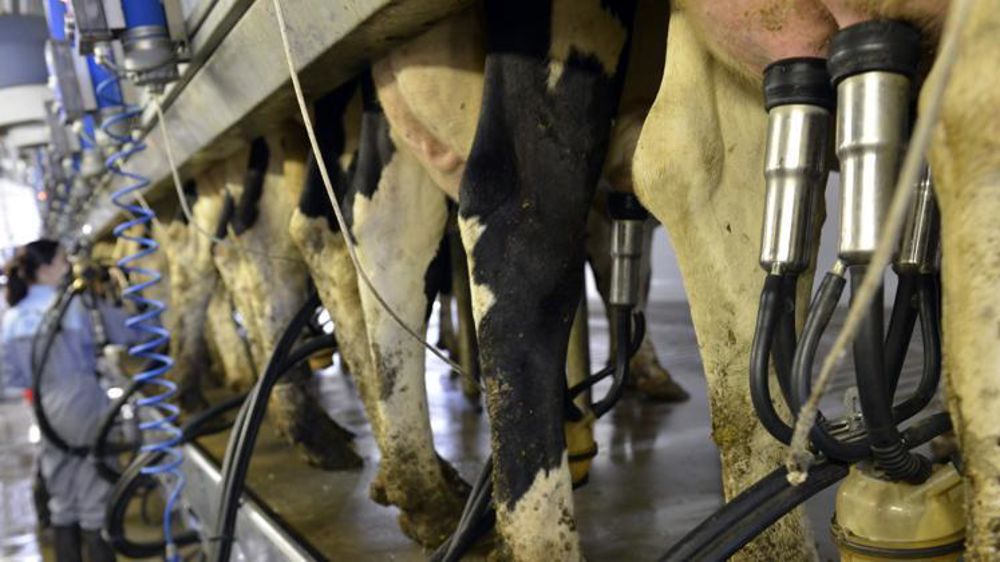 © Cédric Faimali/GFA