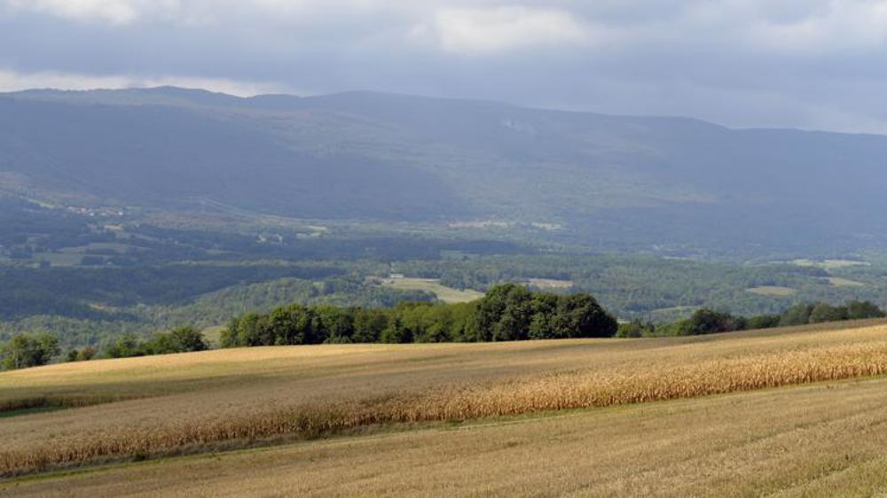 © C. Faimali / GFA