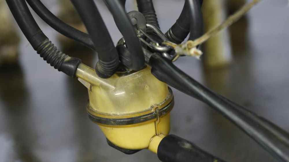 © C. Faimali / GFA