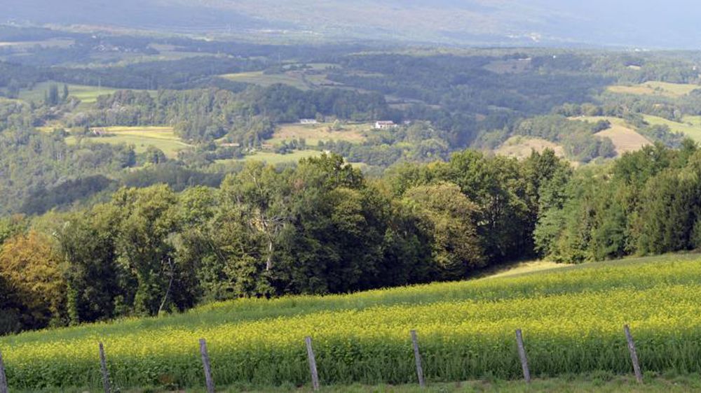 © Cédric Faimali/GFA