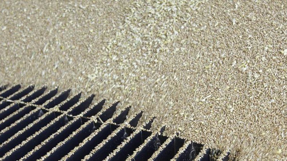 Production mondiale record à 742 Mt (FAO)