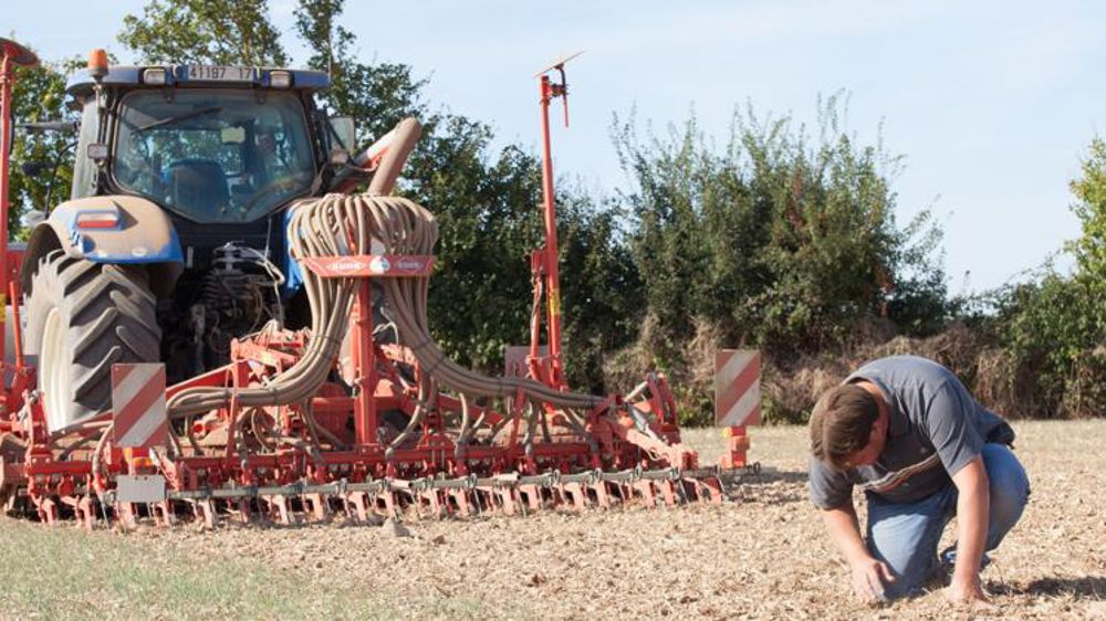Baisse de 8 % des surfaces semées (ODA)
