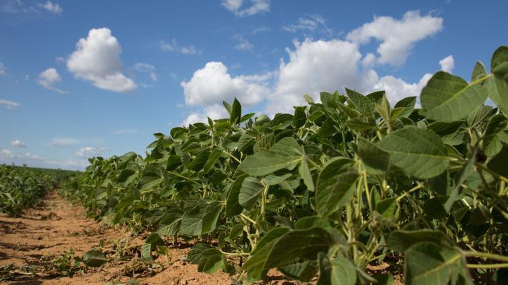 © Sébastien Champion