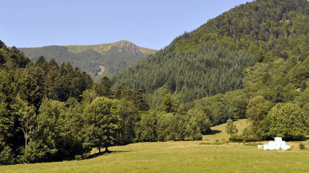 © Cédric Faimali/GFA