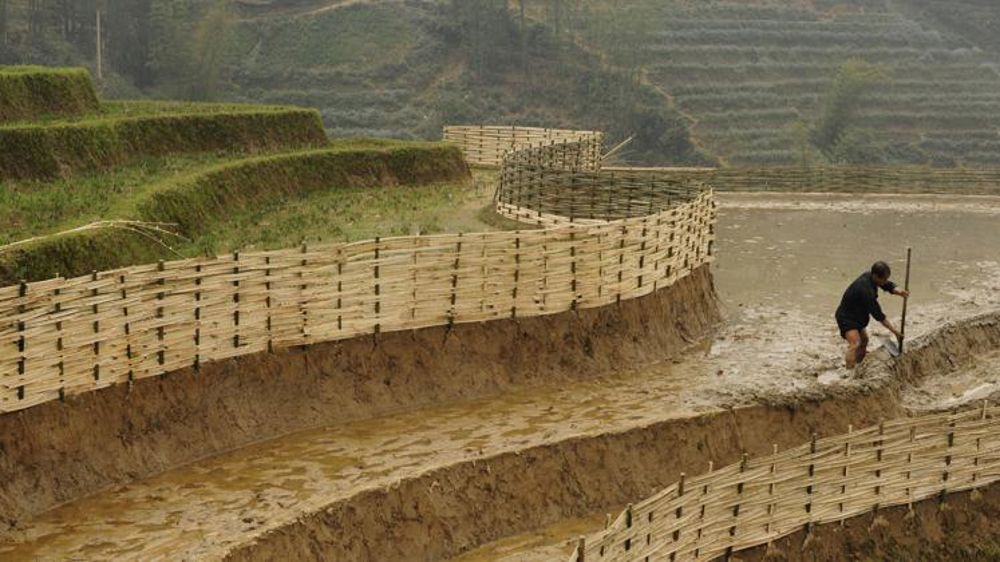 Une transformation profonde de l’agriculture est nécessaire (FAO)