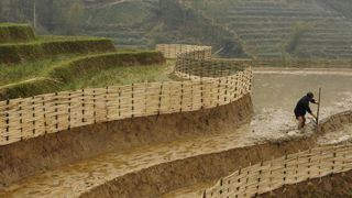 Une transformation profonde de l’agriculture est nécessaire (FAO) Une transformation profonde de l’agriculture est nécessaire (FAO)