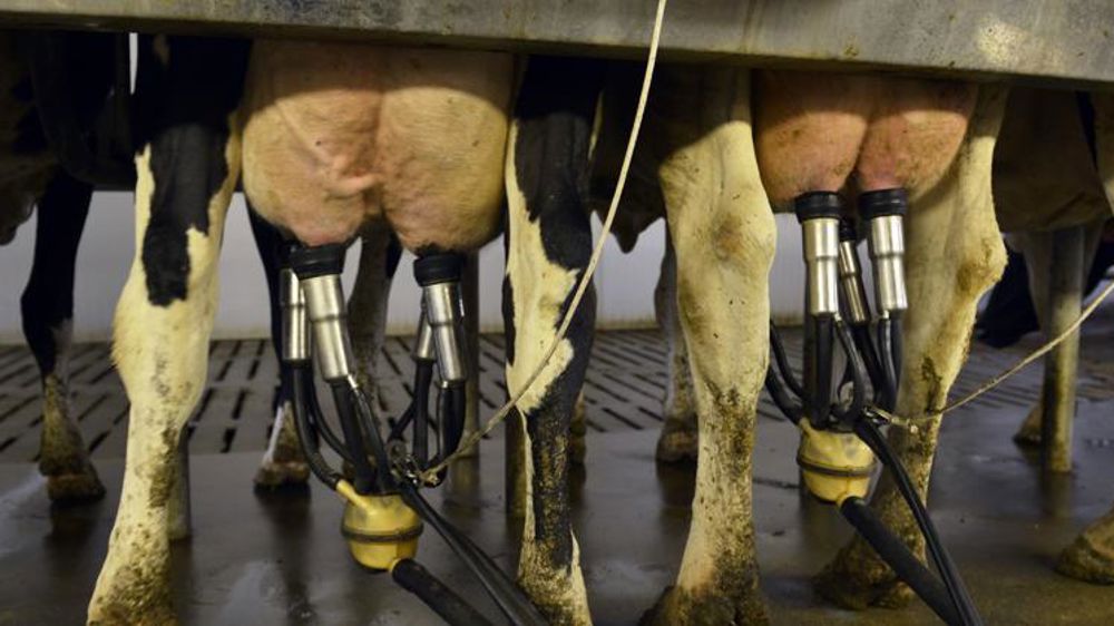 L’argent manque pour la seconde tranche du plan de réduction de la collecte