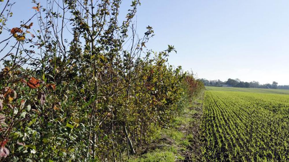 © Cédric Faimali/GFA