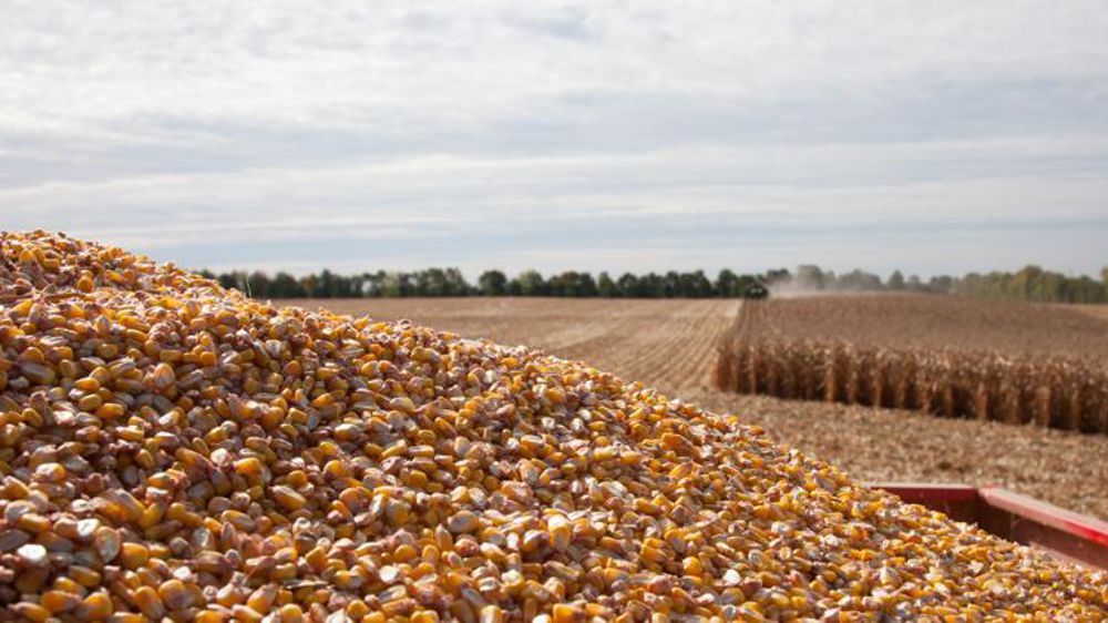 © Sébastien Champion