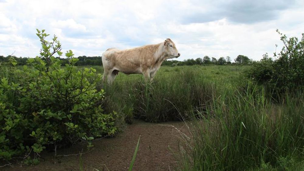 Rappels et précisions sur le bail rural environnemental
