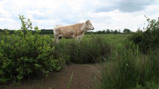 Rappels et précisions sur le bail rural environnemental Rappels et précisions sur le bail rural environnemental