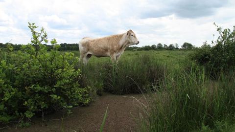 Rappels et précisions sur le bail rural environnemental Rappels et précisions sur le bail rural environnemental