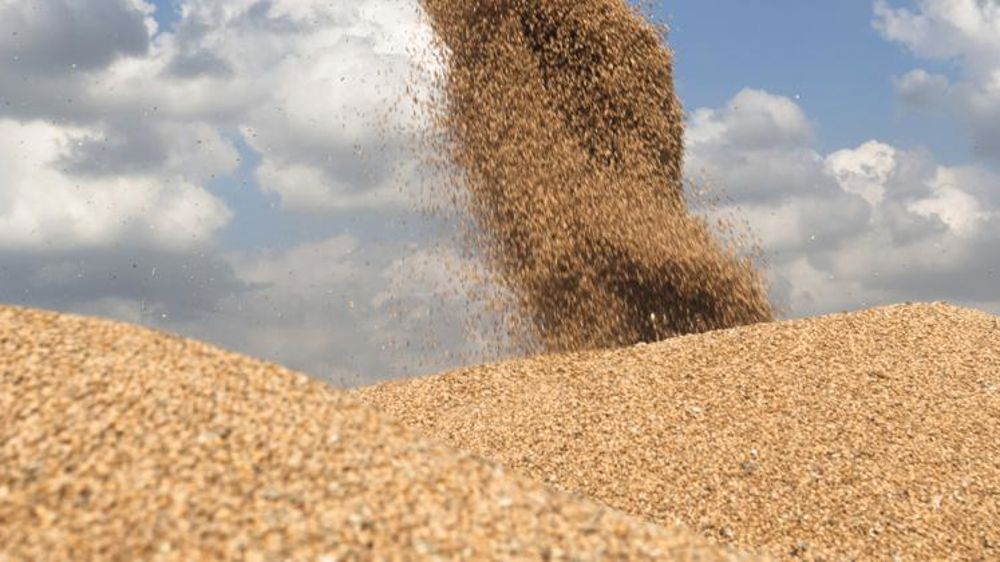 Ses exportations de céréales pourraient atteindre 45 Mt