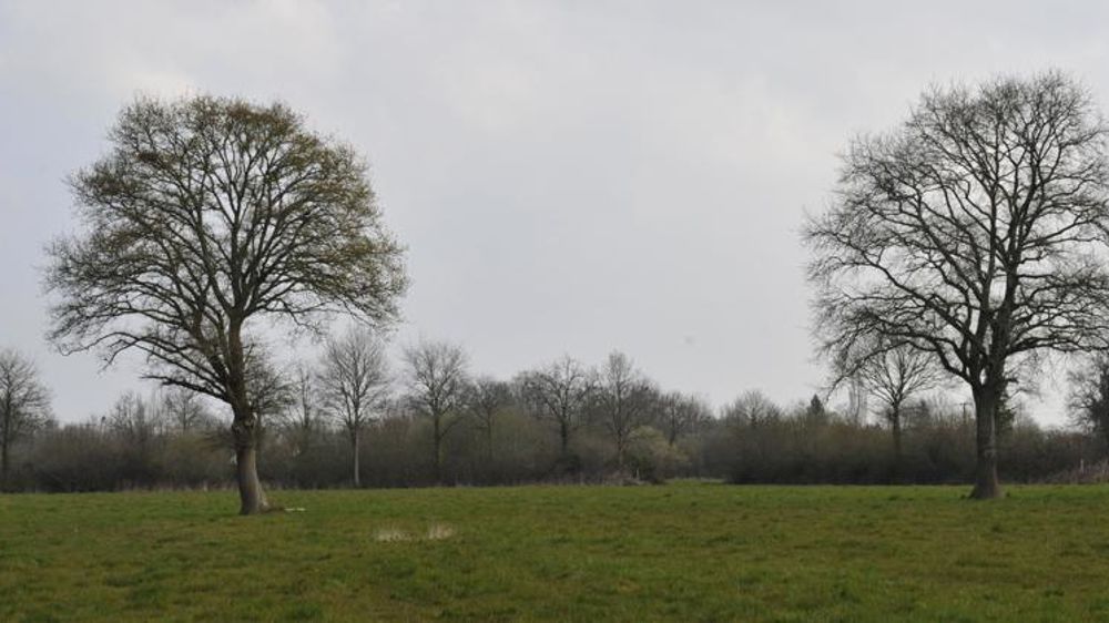 © Cédric Faimali/GFA