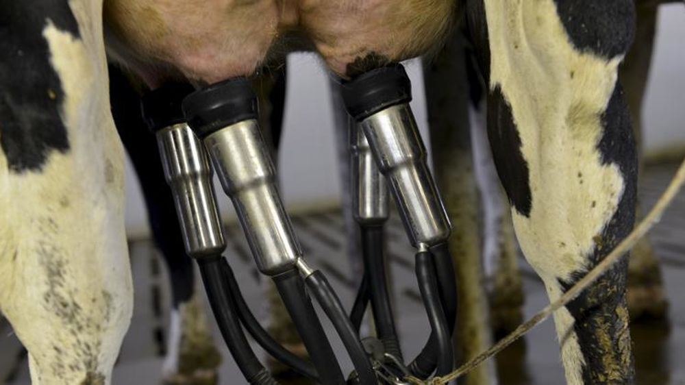 © Cédric Faimali/GFA